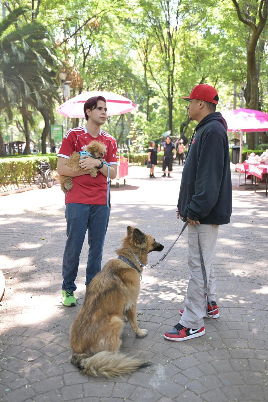 Jornada animal